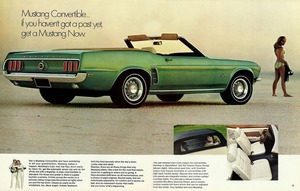 1969 Ford Mustang (Rev)-12-13.jpg